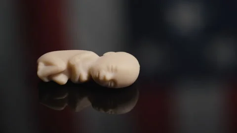 The debate over pro choice and pro life in America - abortion fight Stock Footage 141531752