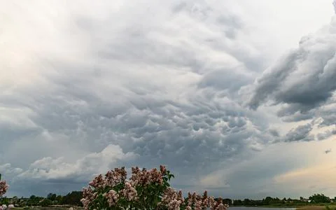 Debesis-4022-DN 写真素材