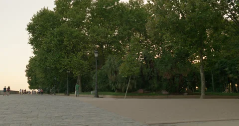 Debod Temple in Madrid 10 Video stock 204015378