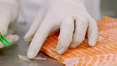 Deboning fish fillets Stock Footage 150254097