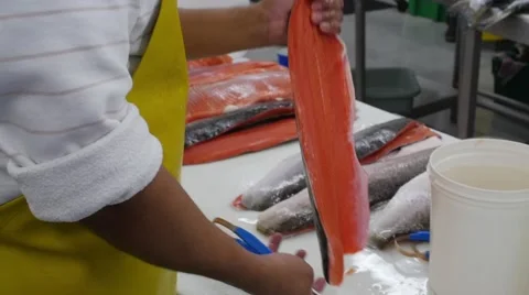 Deboning Salmon Stock Footage 63232670