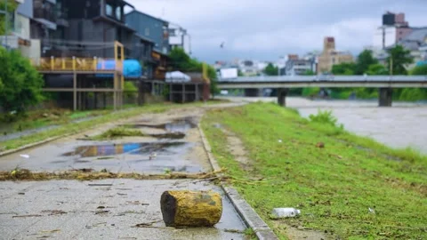 Debris and Broken Branches on Kamo River Bank, Kyoto During Typhoon Floods Stock Footage 339771713