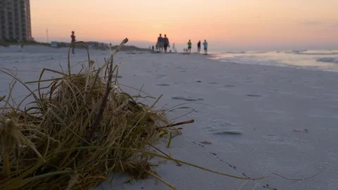 Debris on Beach 库存影片 84985127