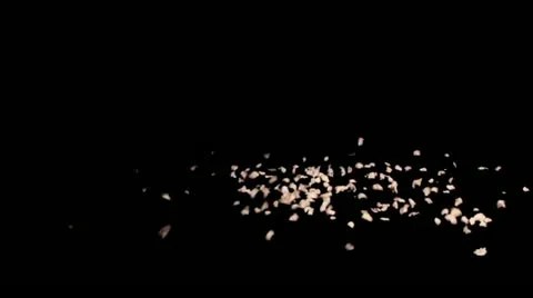 Debris-Falling (2-for-1) 01 Stock-Footage 22034808