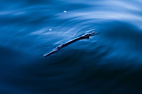 Debris Floating In Water Stock Photos