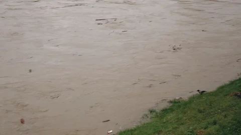 The debris floats down the river. Environmental degradation The Earth is dying Video stock 119337262