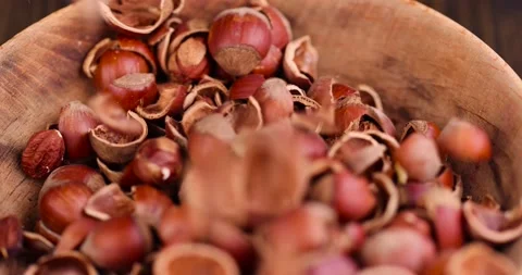 Debris left after peeling the hazelnuts from the shell Video stock 233654278