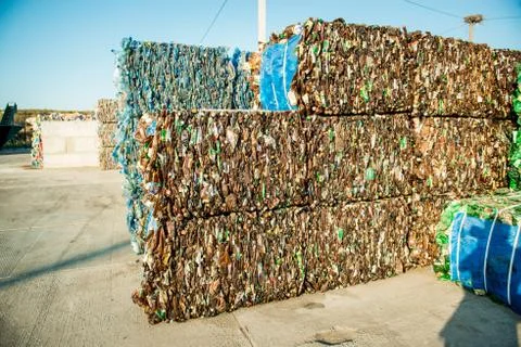 Debris pile for processing in the plant Stock Photos