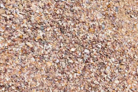 Debris shells Foto stock