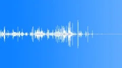 DebrisPenneRigate S011TX.283 Sound Effect