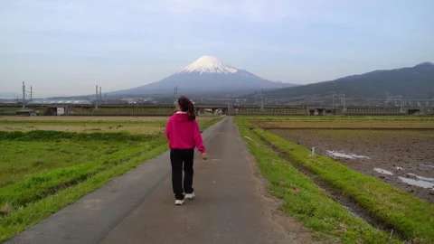 Dec-24-25 Shinkansen bullet train with rice fields Stock Footage 301359805