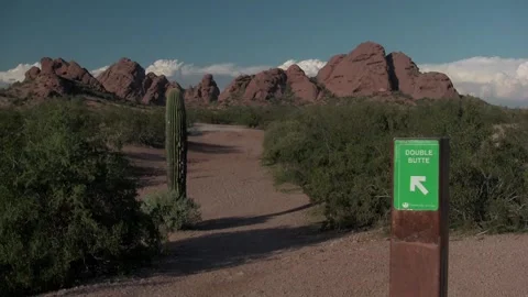Dec 4, 2025, Phoenix, AZ, USA: Saguaro and Double Buttes Sign; Papago Buttes Stockbeeldmateriaal 322726056
