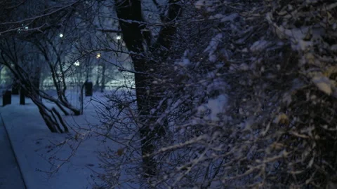 Dec1 25 2 Vidéo 322188799