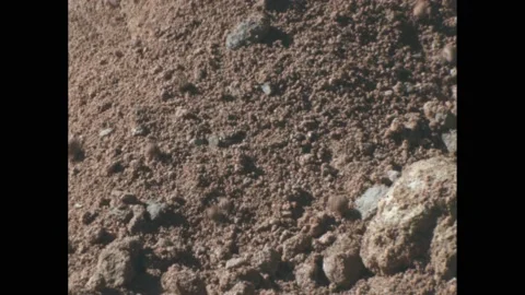 Decade: Dirt falling from backhoe. Stone with fossils embedded in it falls on Stock Footage 188531033