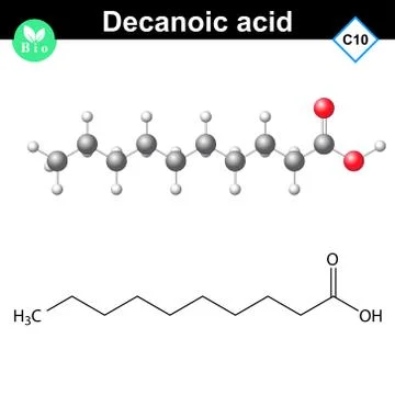 Decanoic acid atomic structure Stock Illustration