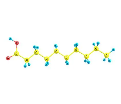 Decanoic (capric) acid molecule isolated on white Stock Illustration