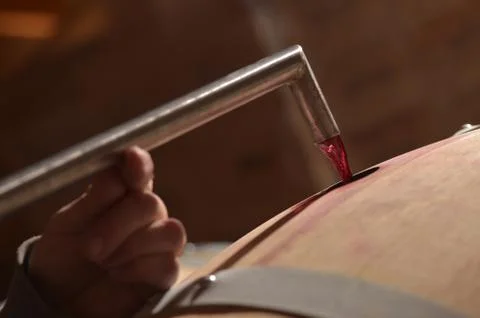 Decanting wine in a barrel's cellar Foto stock