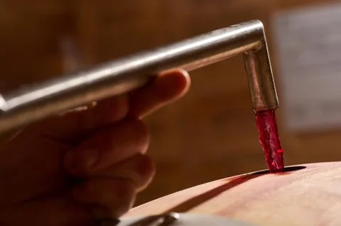 Decanting wine in a barrel's cellar Stock Photos