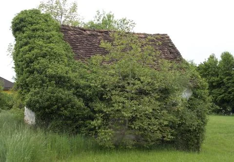 Decay and structural damage in building Stock Photos