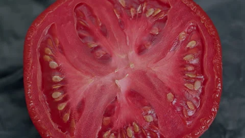 Decay Process Tomato Dried Up. Mold Growth On A Cut Tomato. Growing Mold On The Stock Footage 304105106