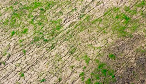 The decay of soil after a drought, the influence of an aggressive environment on Stock Photos