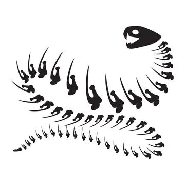 Decayed Aggressive Snake Dried Skeleton Bone Stock Illustration