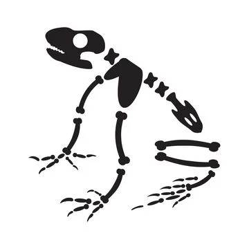 Decayed Big Toad Frog Dried Skeleton Bones Stock Illustration