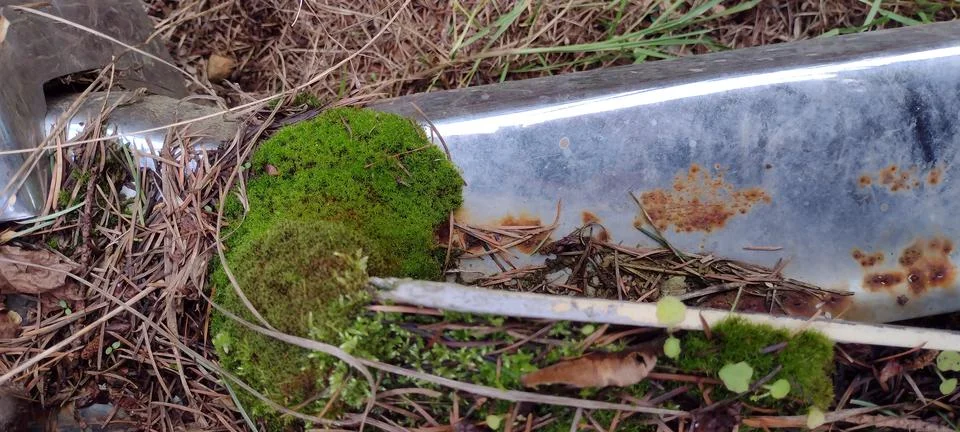 Decayed bumper with moss and rust Stock Photos