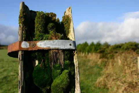 Decayed desolate field iron moss rust shabby Stock Photos