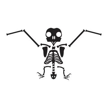 Decayed Flying Owl Dried Skeleton Bones Stock-Illustration