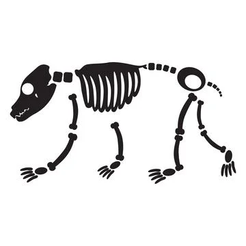 Decayed Grizzly Bear Dried Skeleton Bones Stock Illustration