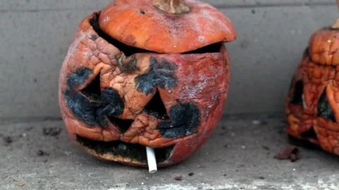 Decayed Halloween pumpkin with cigarette in its mouth and rotting. Stock Footage 324878195