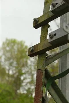 Decayed metal surface intertwined with vibrant spring vegetation Stock Photos