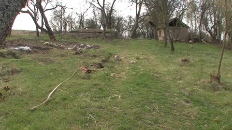 Decayed old house in the woods Stock-Footage 38295870