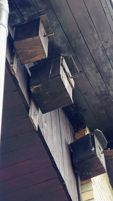 Decayed rustic bird shelters underneath eaves with chains and subtle shadows in Stock Footage 335144062