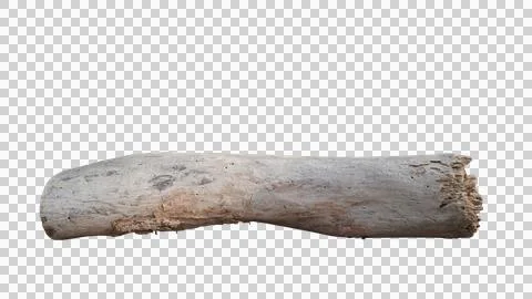 Decayed Rustic Weathered Driftwood Timber Log for Outdoor Concept Stock Photos