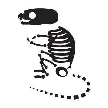 Decayed Scared Rat Dried Skeleton Bones Stock Illustration