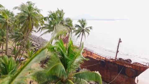 Decayed ship nestled at the edge of tropical bay Stock Footage 295925010