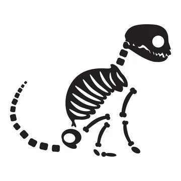 Decayed Sitting Cat Dried Skeleton Bones Stock Illustration