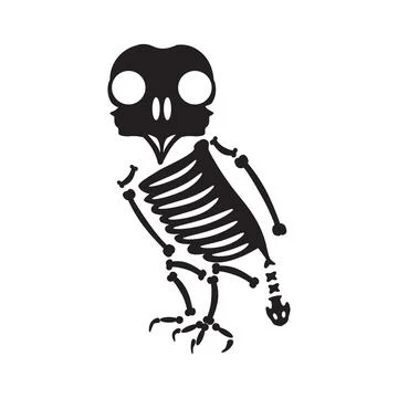 Decayed Sitting Owl Bird Dried Skeleton Bone Illustrazione stock