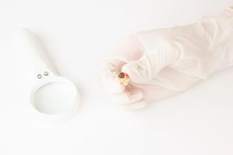 Decayed Tooth Stock Photos