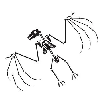 Decayed Winged Vampire Dried Skeleton Bones Illustrazione stock