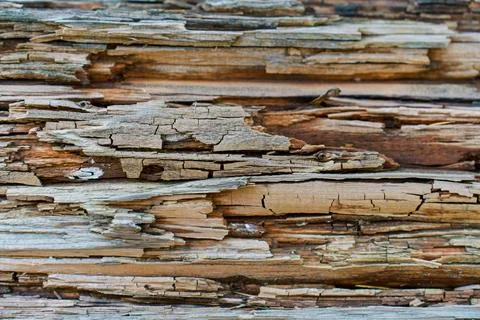 Decayed Wooden Texture Stock Photos