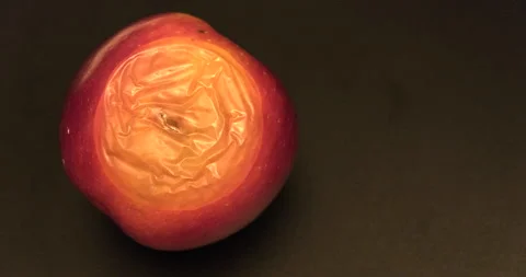 Decaying apple fruit - 4K Prores 422 HQ Stock Footage 292451842
