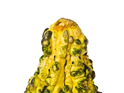 Decaying crop 스톡 사진