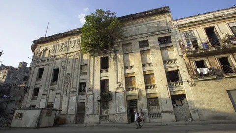 Decaying old building with tree growing out of it Stock Footage 77453876