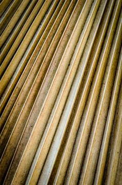 Decaying palm tree leaf Stock-Fotos