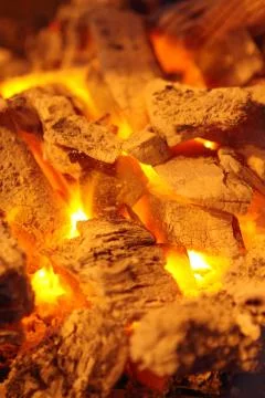 Decaying red coals of a tree in a fire Stock Photos