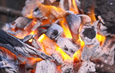 Decaying red coals of a tree in a fire Stock Photos