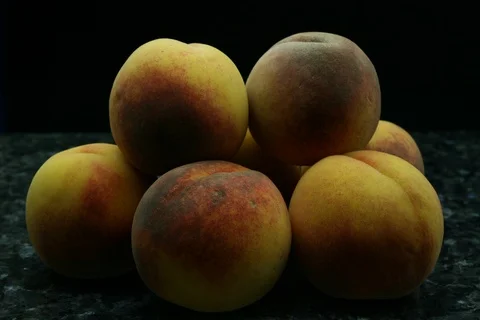 Decaying rotten moldy peach. Timelapse Video stock 109579983